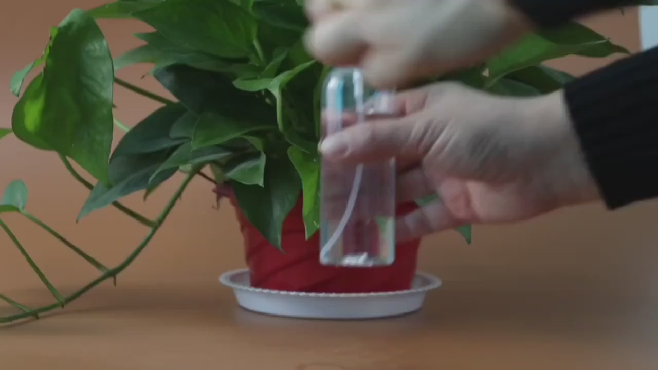 Three Reusable Plastic Spray Bottles